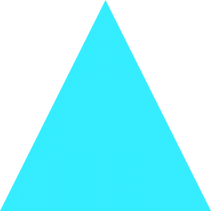 Triangle Icon