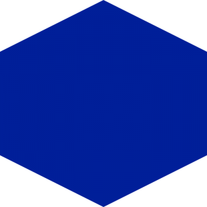 Hexagon Icon